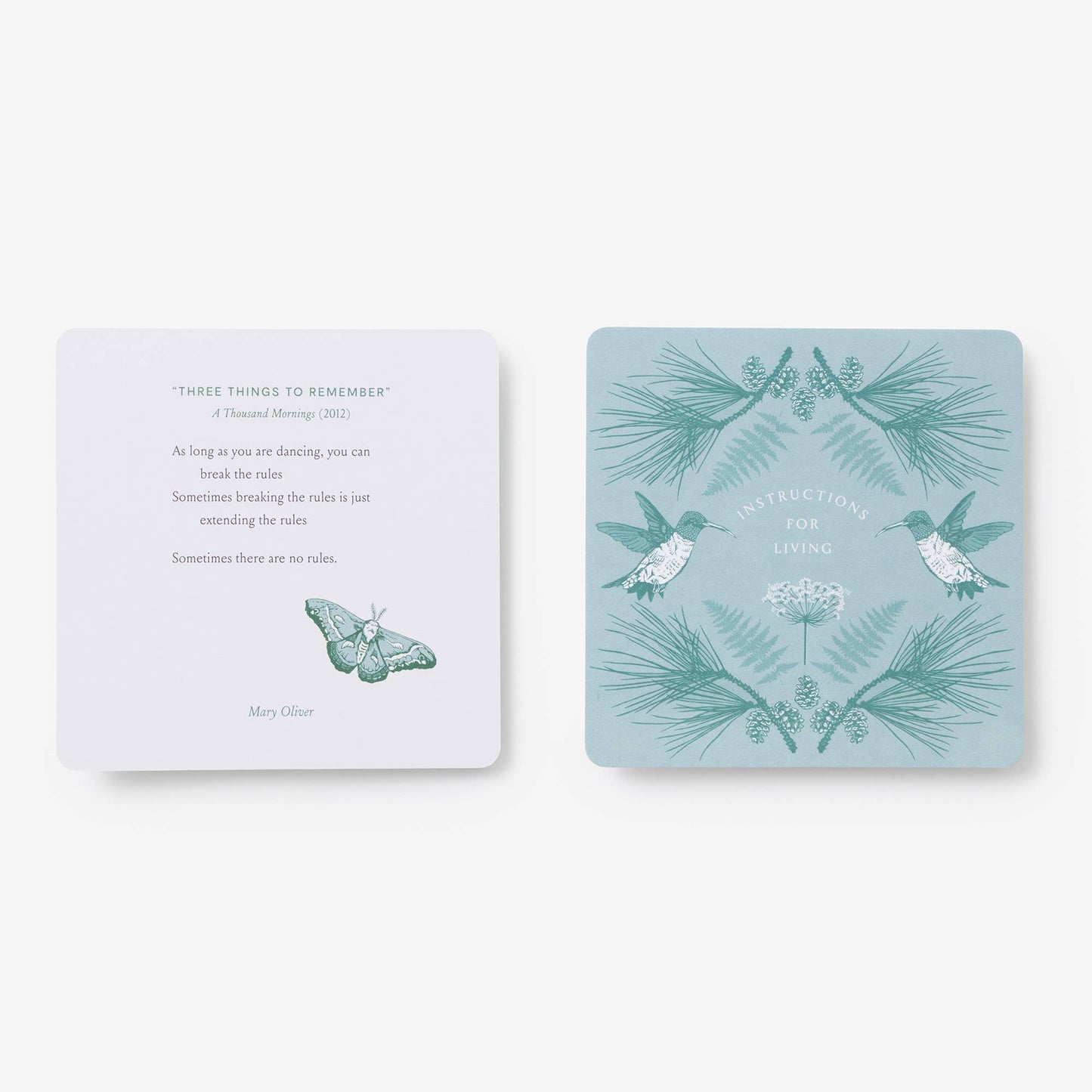 Instructions for Living - Deck