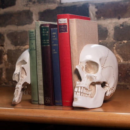 Life-Size Skull Bookends — Realistic Polyresin (Set of 2)