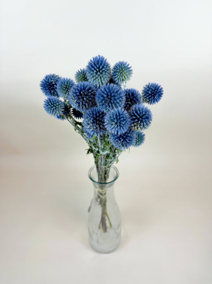 Globe Thistle (Echinops) – Natural Blue, Air-Dried