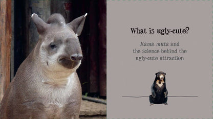 Ugly-Cute — Jennifer McCartney