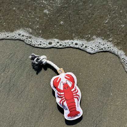 Rope Dog Toy | Lobster