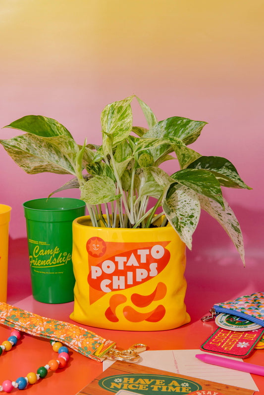 Ceramic Vase, Potato Chips