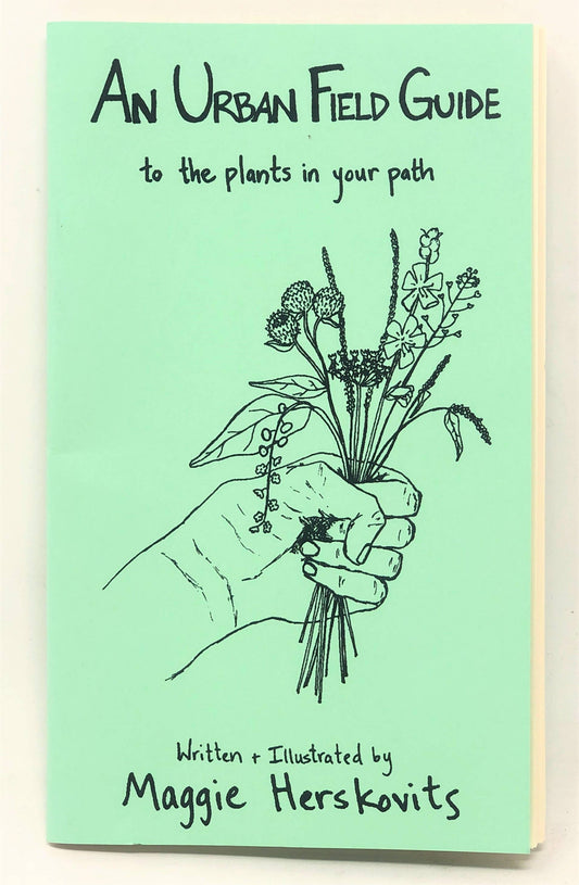 Urban Field Guide to the Plants in Your Path — Discover the Wild Green Around You (Zine)