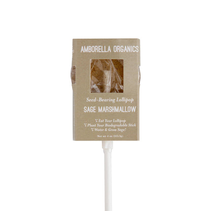 Blooming Lollipop Bundle (Eat, Plant & Grow an Herb/Flower)