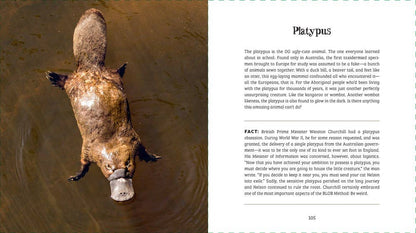 Ugly-Cute — Jennifer McCartney