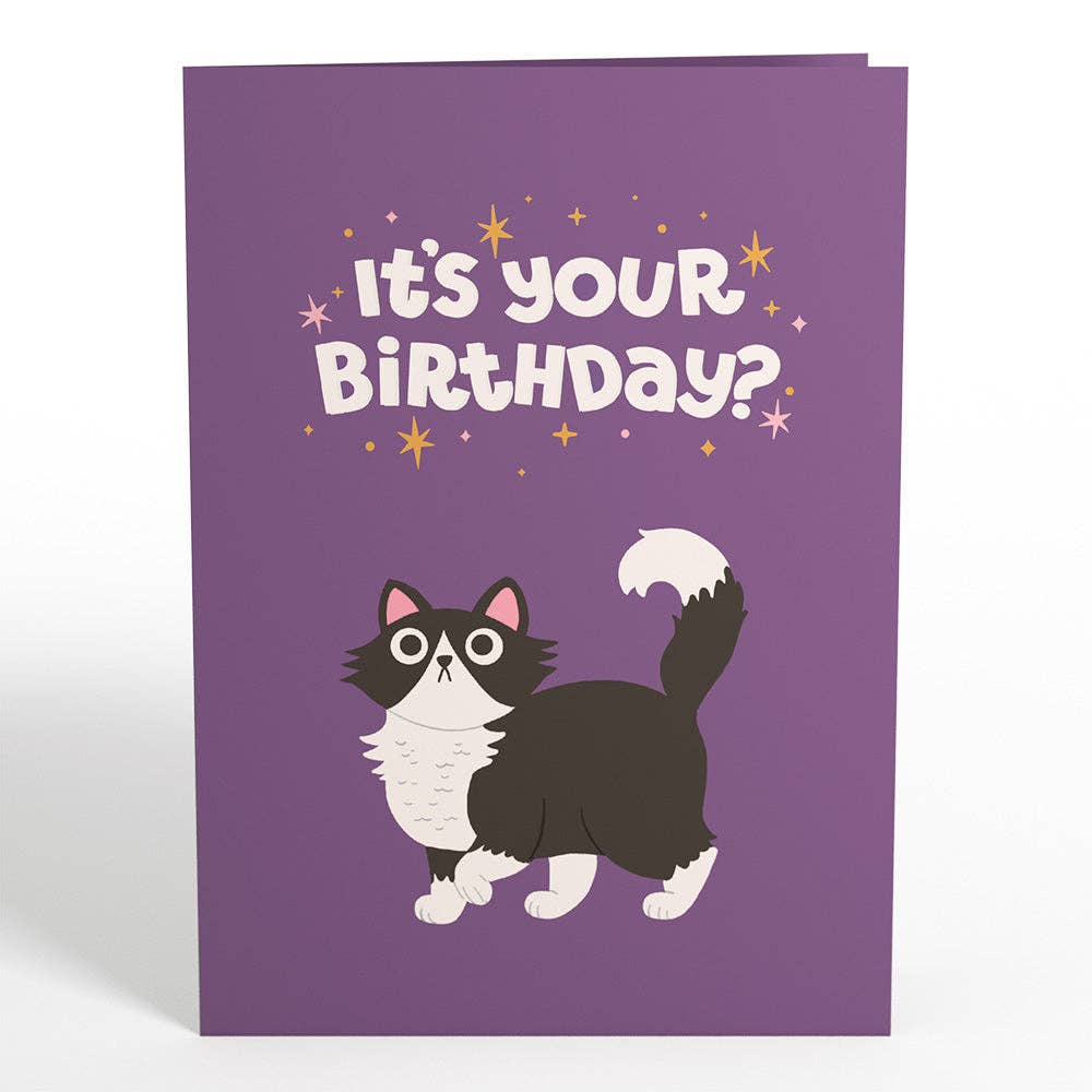 Lovepop Cards - Your Gift Is in the Litterbox Birthday Cat Pop-Up Card 5x7"