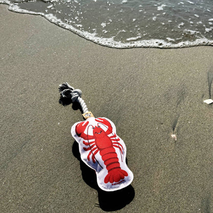 Rope Dog Toy | Lobster