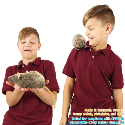 Reuben the Rat — 7" Stuffed Animal Plush