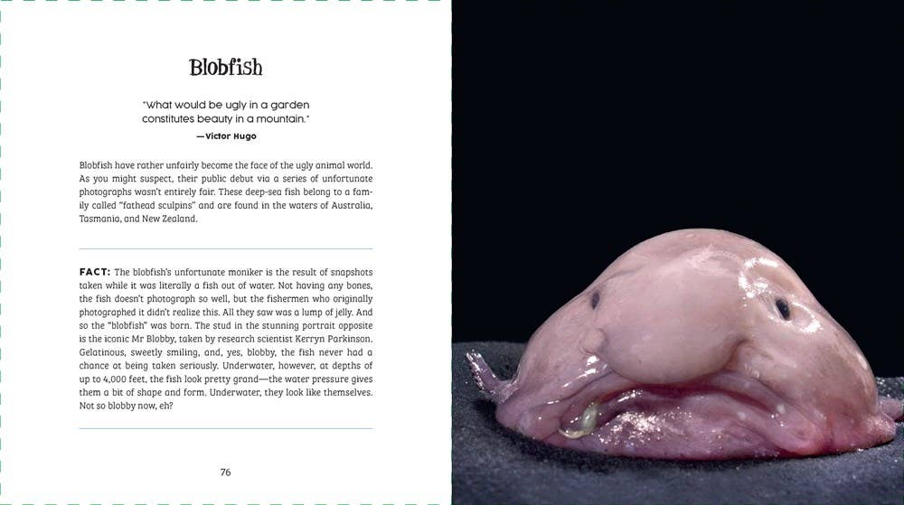 Ugly-Cute — Jennifer McCartney