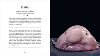 Ugly-Cute — Jennifer McCartney