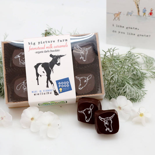 Chocolate Covered Goat Milk Caramels — Sea Salt & Vanilla