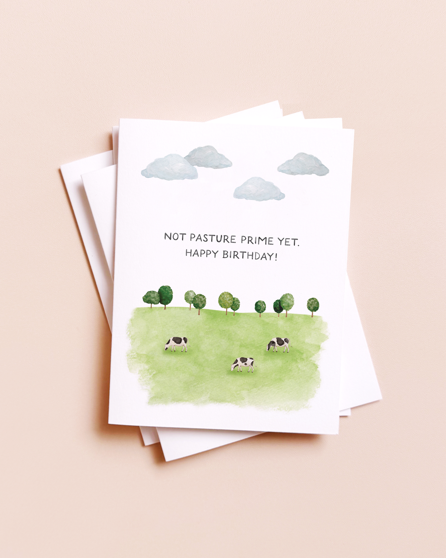 Not Past Your Prime Yet — Funny Cow Pasture Birthday Card