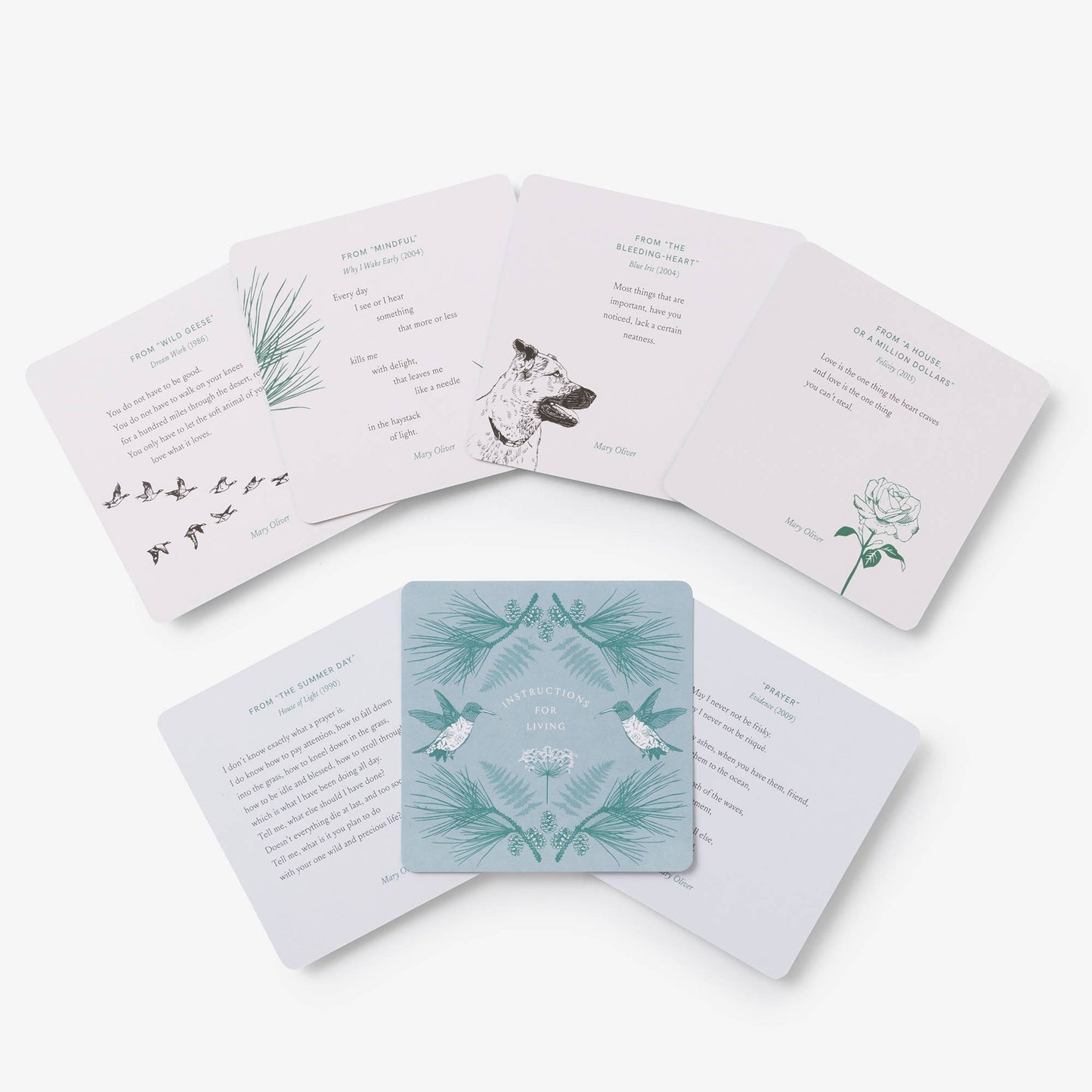 Instructions for Living - Deck