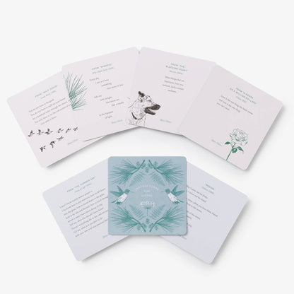 Instructions for Living - Deck