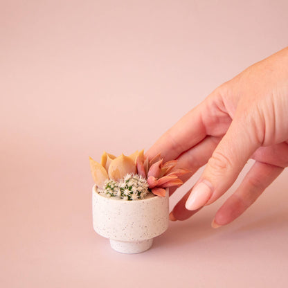 Speckle Footed Planter | Mini