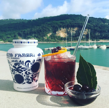 Fabbri Amarena Italian Tart Cherries — 230 g Glass Jar