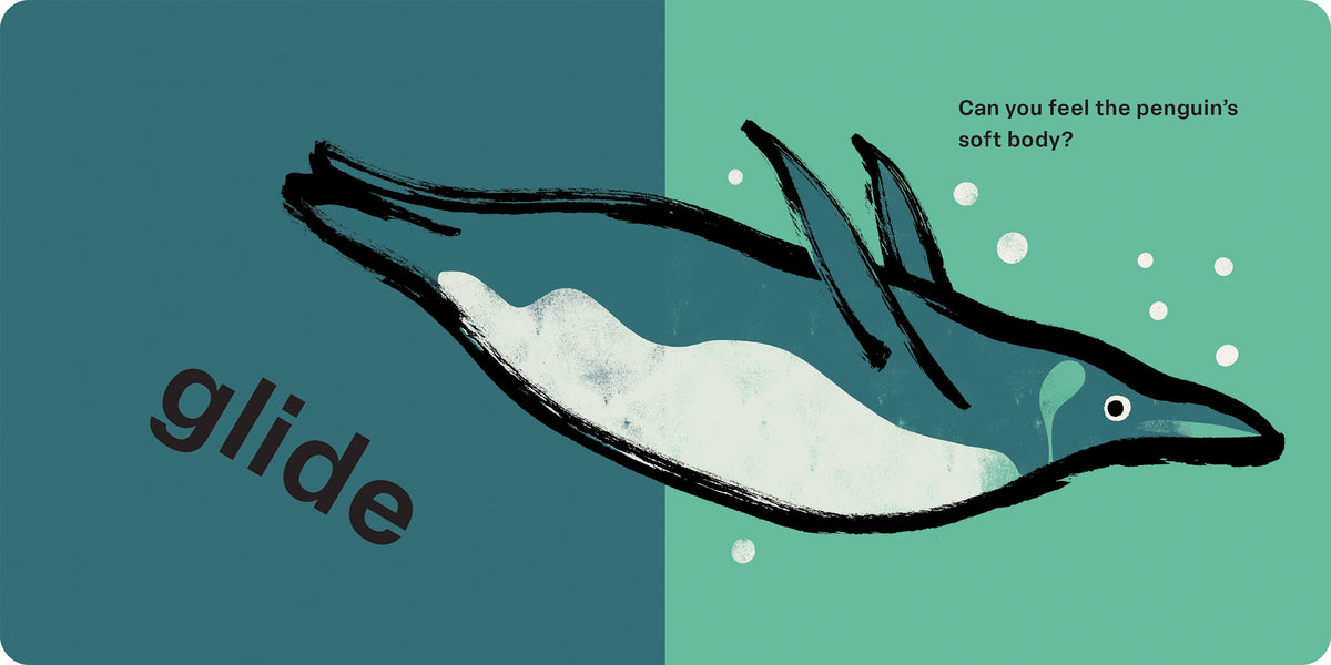 Hachette Book Group - Spring Street Touch and Feel: Ocean