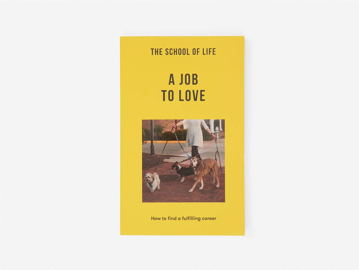 A Job To Love - Dear John