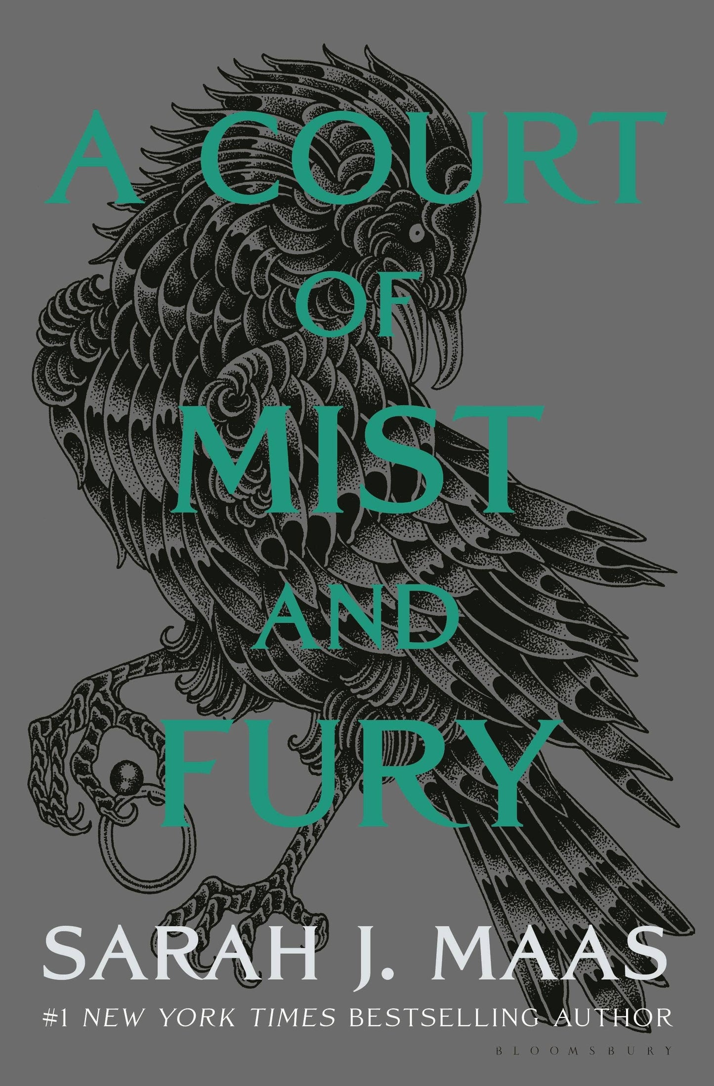 Court Of Mist And Fury Adult
