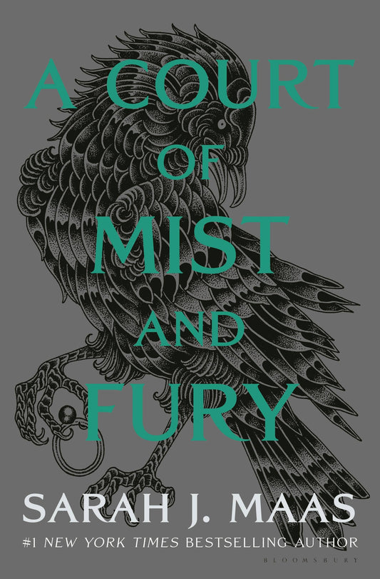 Court Of Mist And Fury Adult
