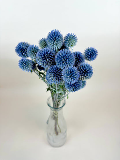 Globe Thistle (Echinops) – Natural Blue, Air-Dried