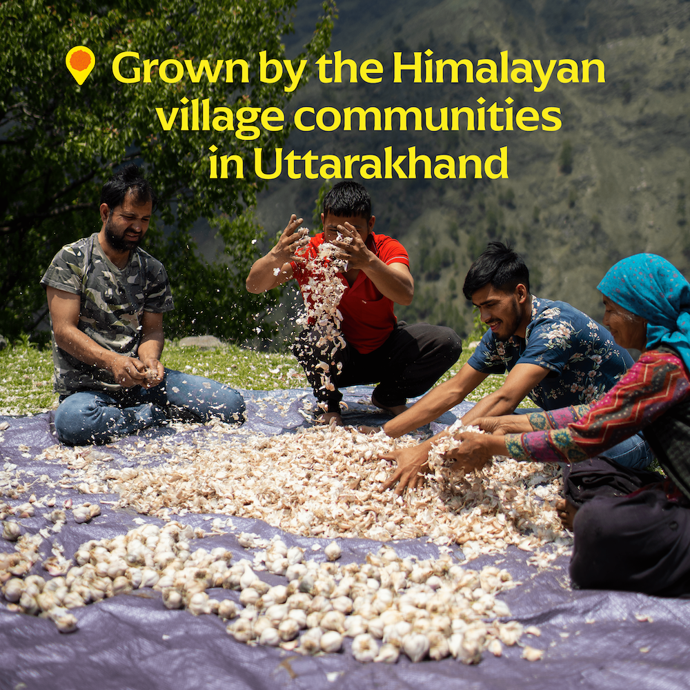 Pink Pahadi Garlic — Single-Origin Himalayan Garlic Powder (Sourced by Tons Trails)