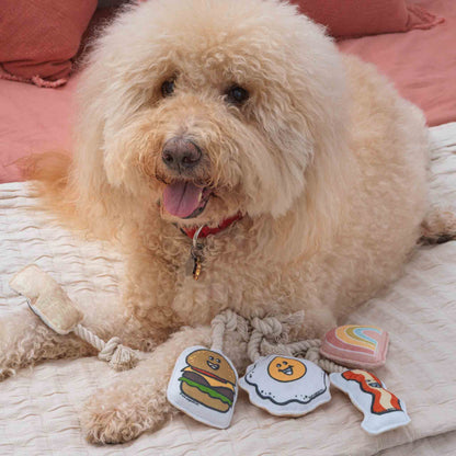 Mini Dog Toy Set | Breakfast
