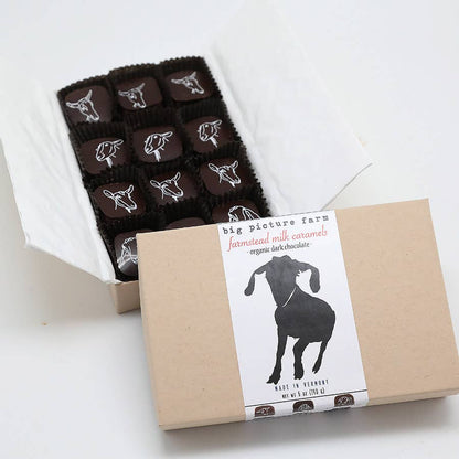 Chocolate Covered Goat Milk Caramels — Sea Salt & Vanilla