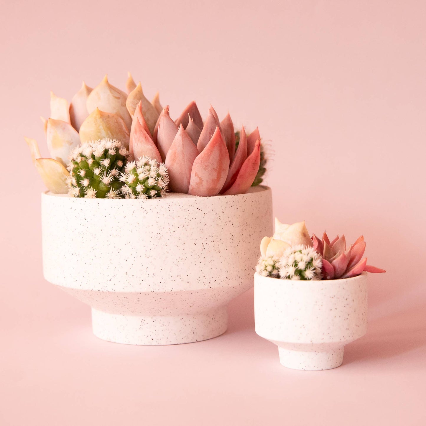 Speckle Footed Planter | Mini
