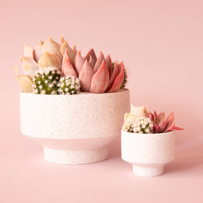 Speckle Footed Planter | Mini