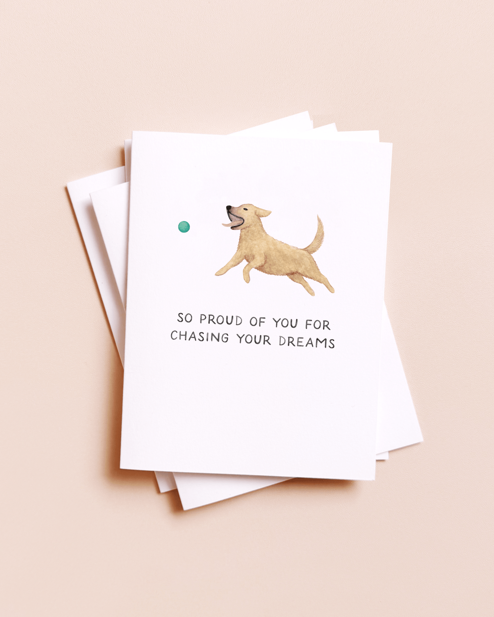 Amy Zhang - Chasing Your Dreams — Funny Dog Lovers Graduation Card - Dear John