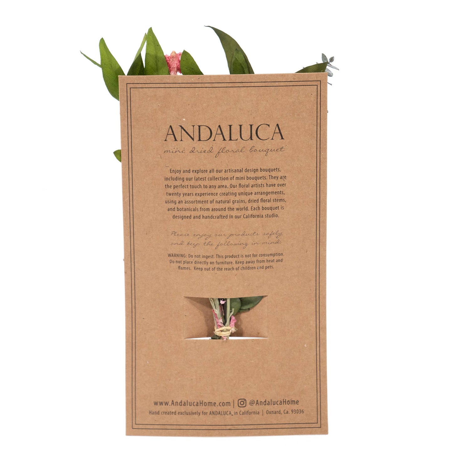 Andaluca - Eucalyptus & Pink Larkspur Mini Bouquet 57 - Dear John