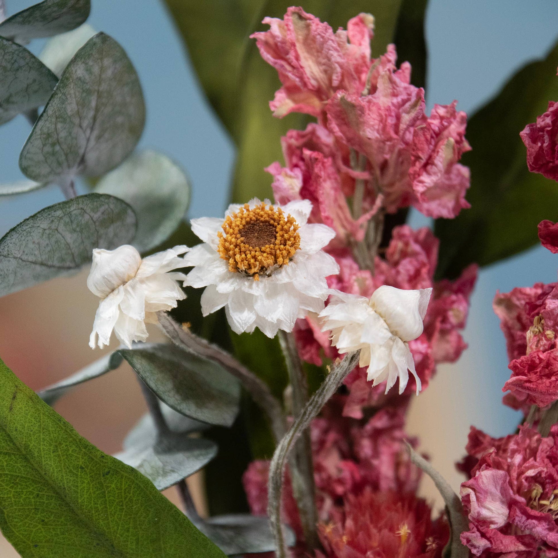 Andaluca - Eucalyptus & Pink Larkspur Mini Bouquet 57 - Dear John