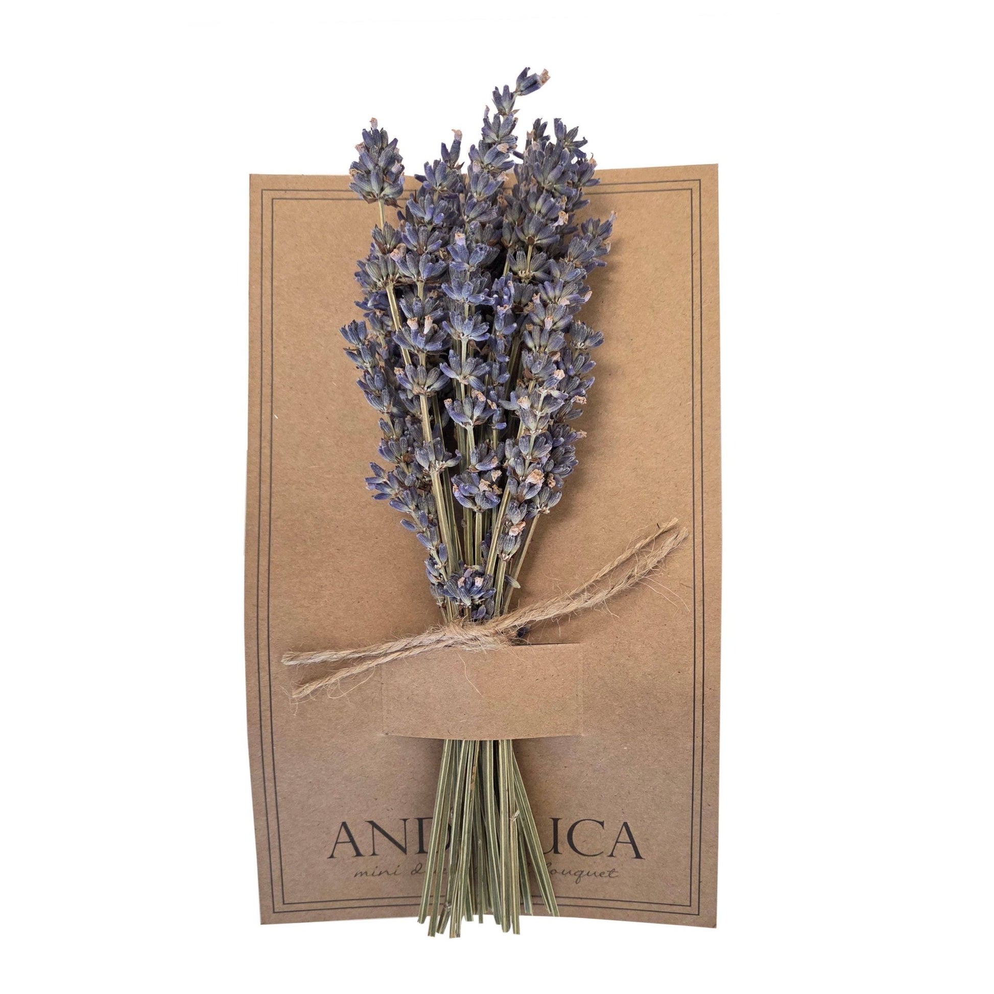 Andaluca - French Lavender Mini Bouquet 255 - Dear John