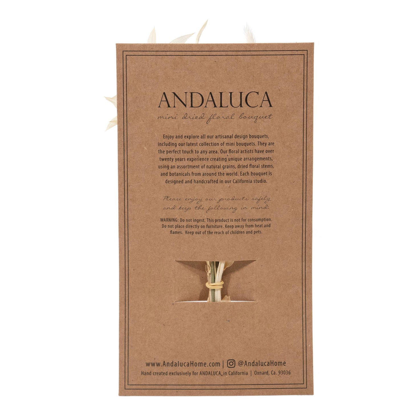 Andaluca - Lavender Bunny Tail Mini Bouquet 59 - Dear John