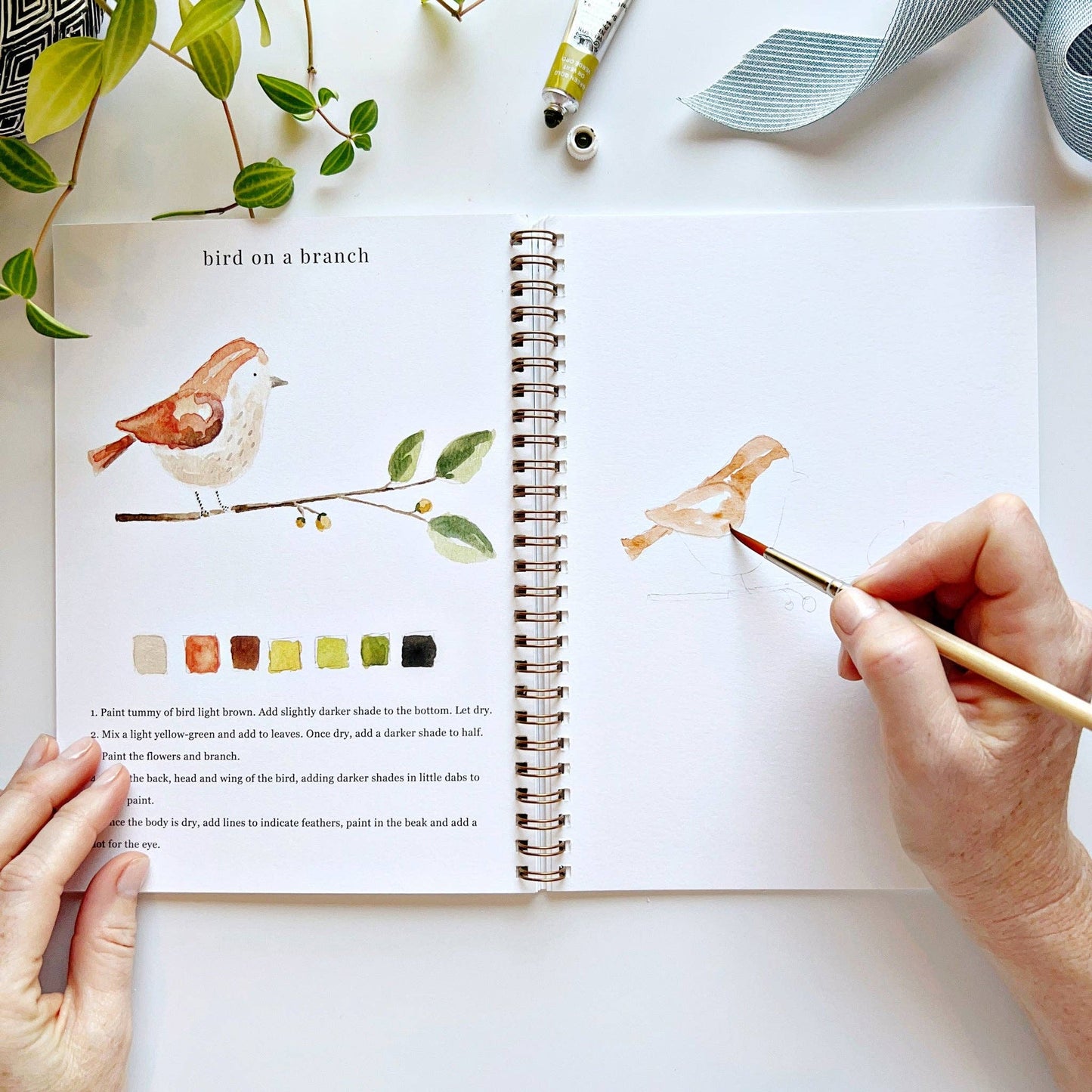 Animals watercolor workbook - Dear John