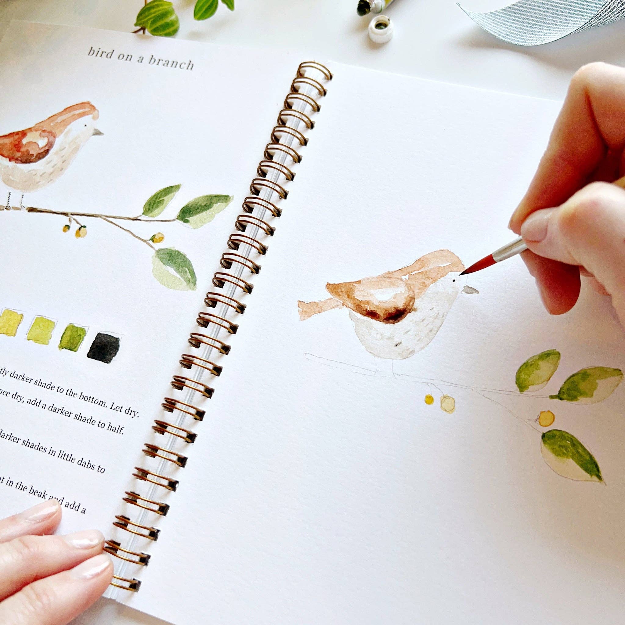 Animals watercolor workbook - Dear John