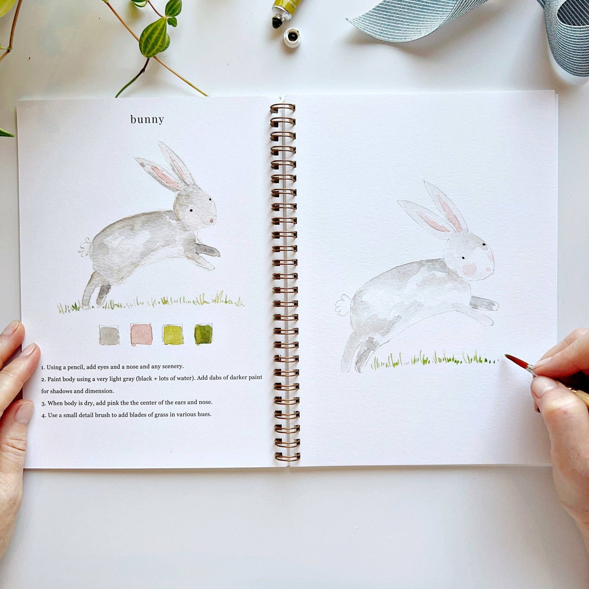 Animals watercolor workbook - Dear John