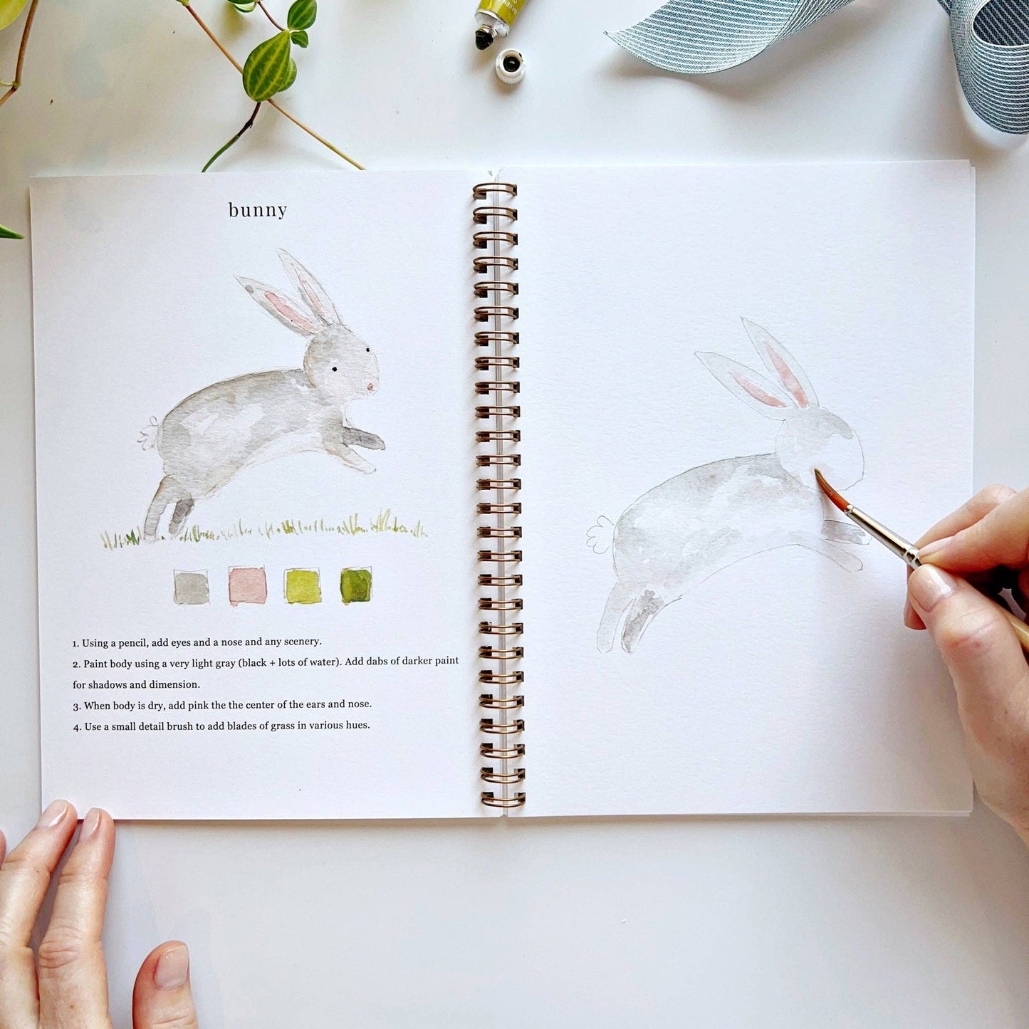Animals watercolor workbook - Dear John