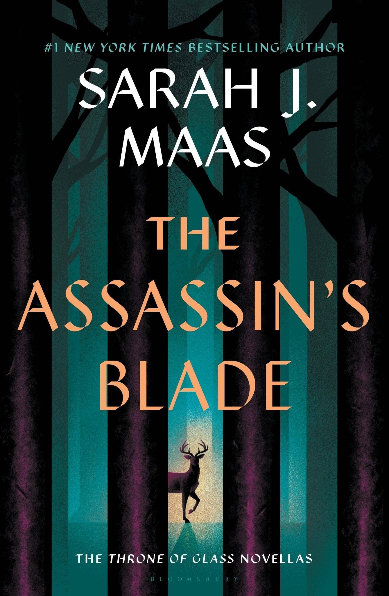Assassins Blade: The Throne of Glass Prequel Novellas - Dear John