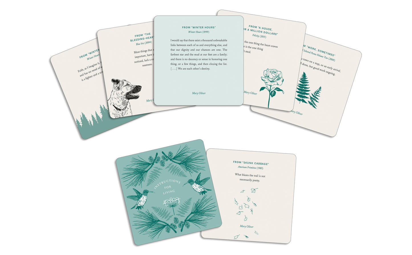 Instructions for Living - Deck