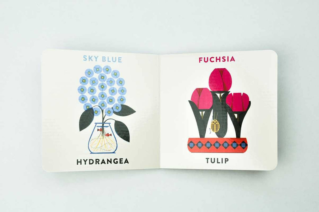 Babylink: Colors in the Garden by Marcos Farina - Dear John