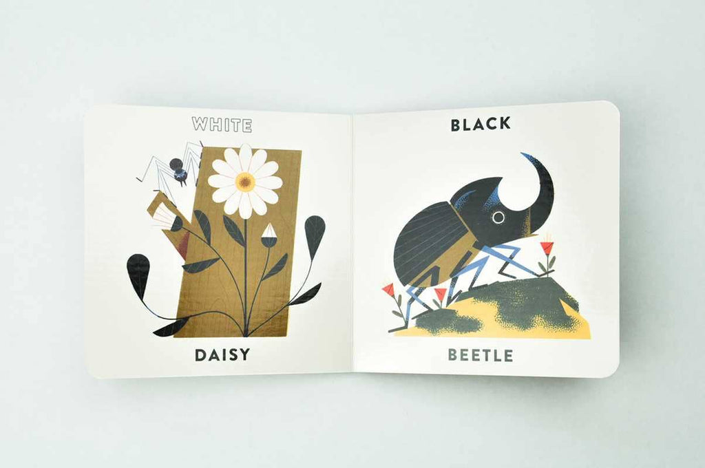 Babylink: Colors in the Garden by Marcos Farina - Dear John