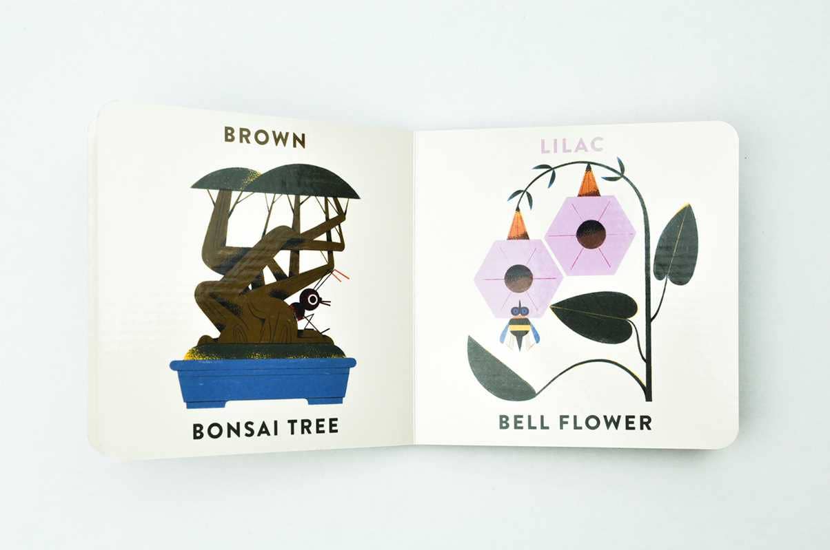 Babylink: Colors in the Garden by Marcos Farina - Dear John