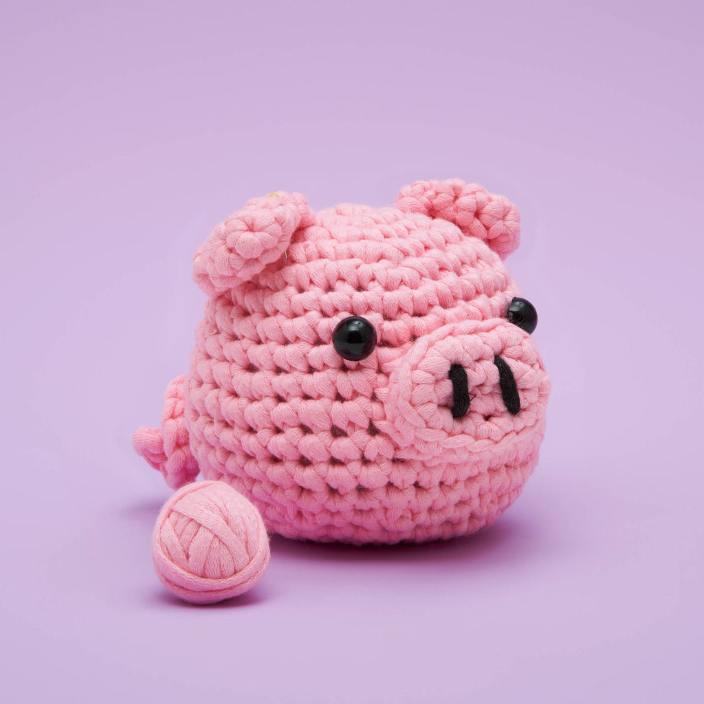 Bacon the Pig Beginner Crochet Kit - Dear John