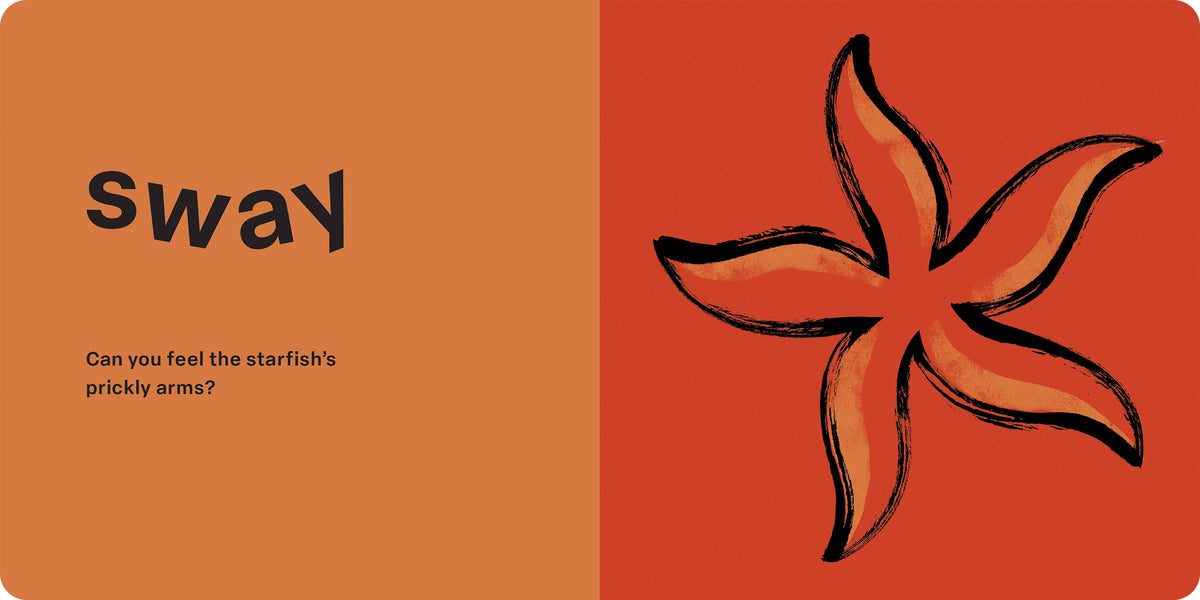 Hachette Book Group - Spring Street Touch and Feel: Ocean