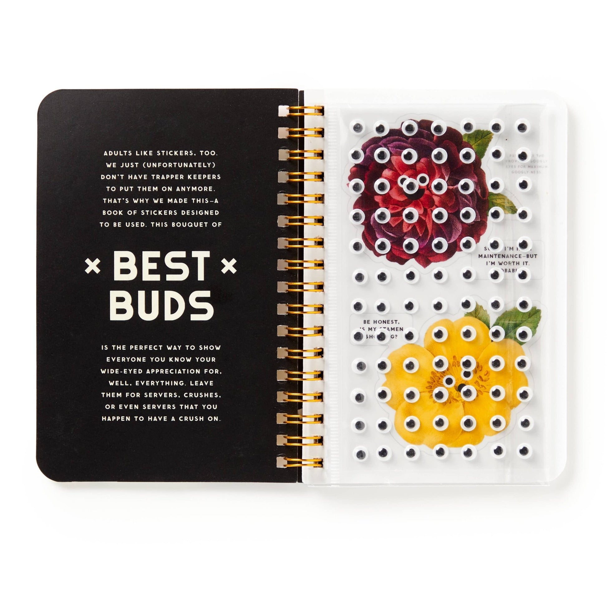 Best Buds Googly Sticker Book - Dear John
