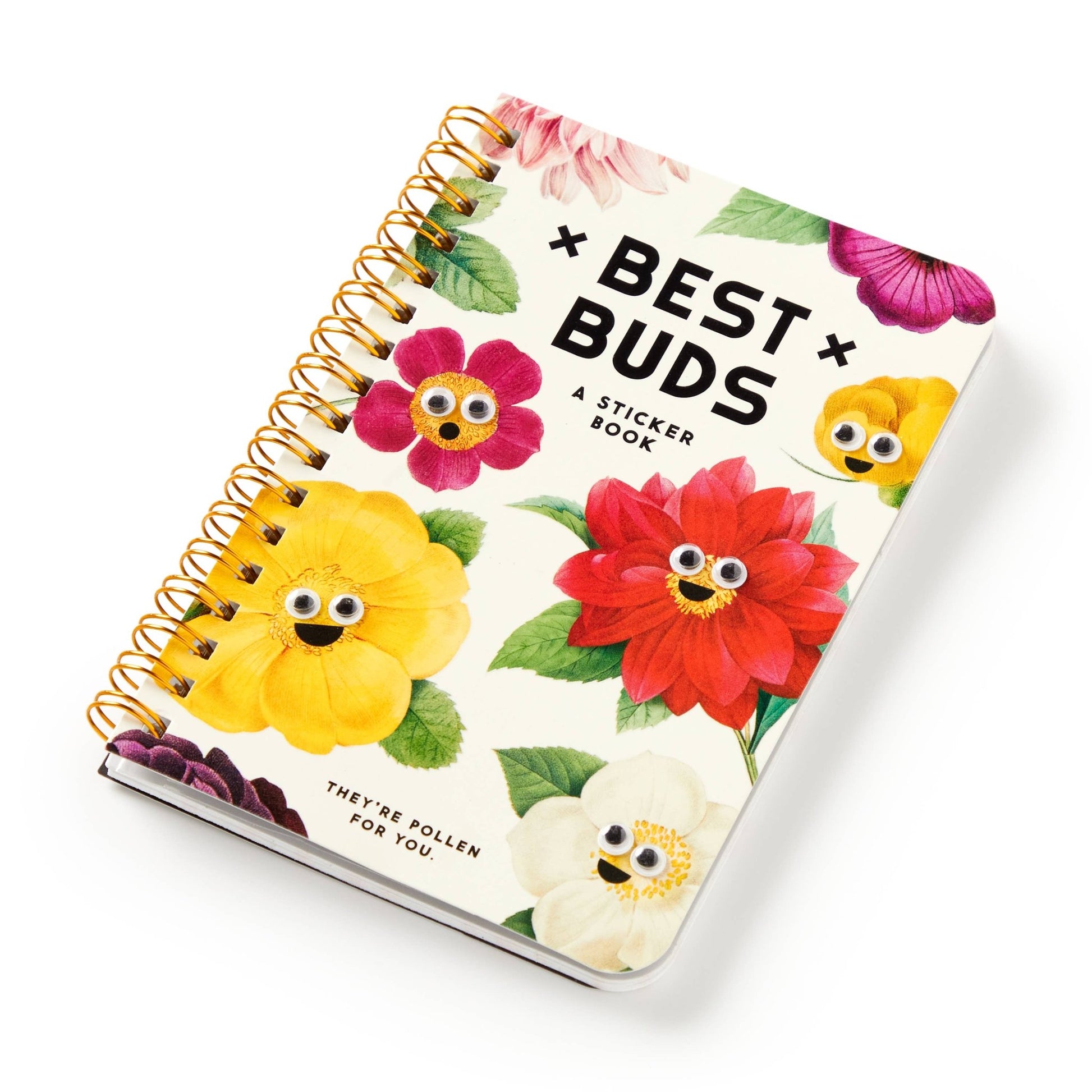 Best Buds Googly Sticker Book - Dear John