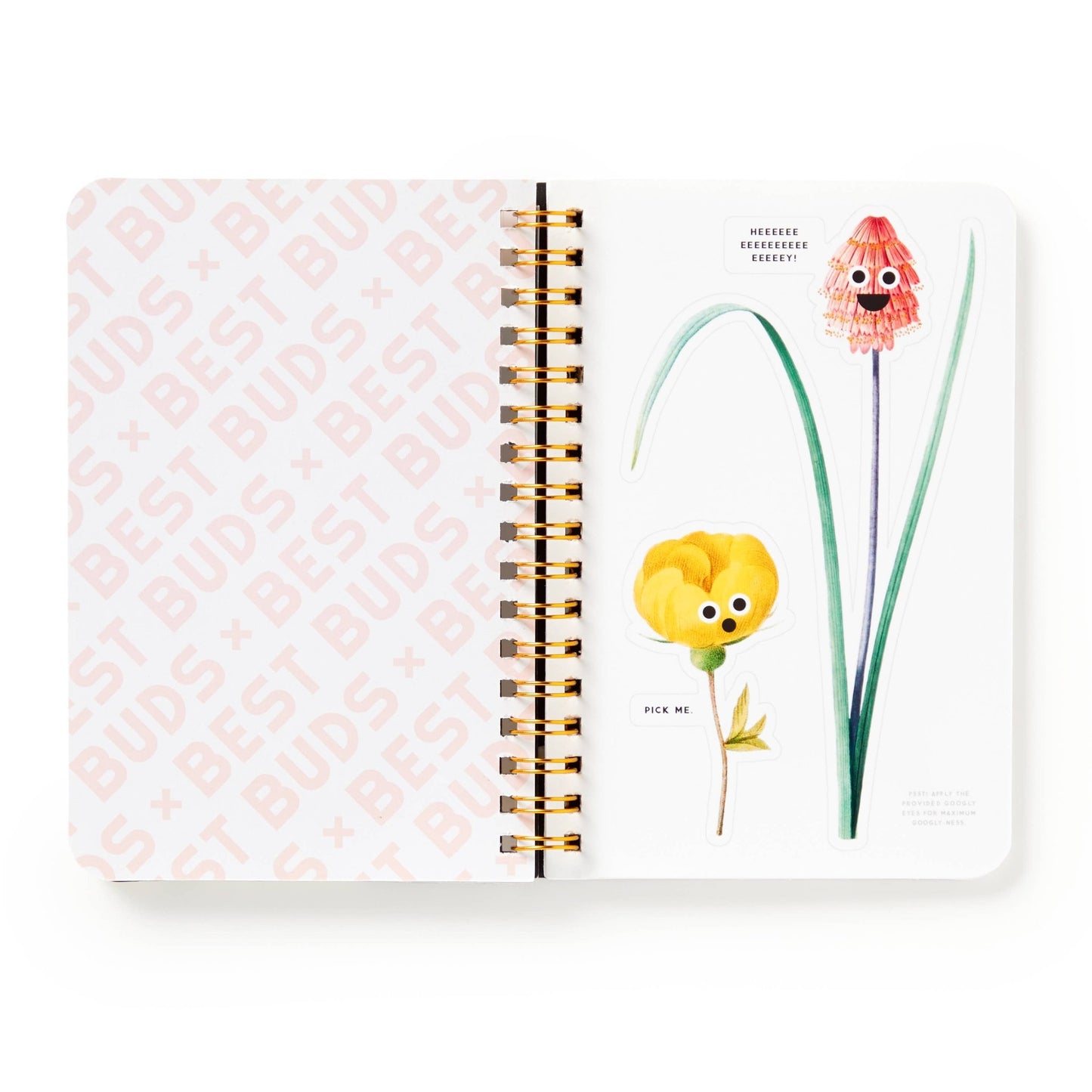 Best Buds Googly Sticker Book - Dear John