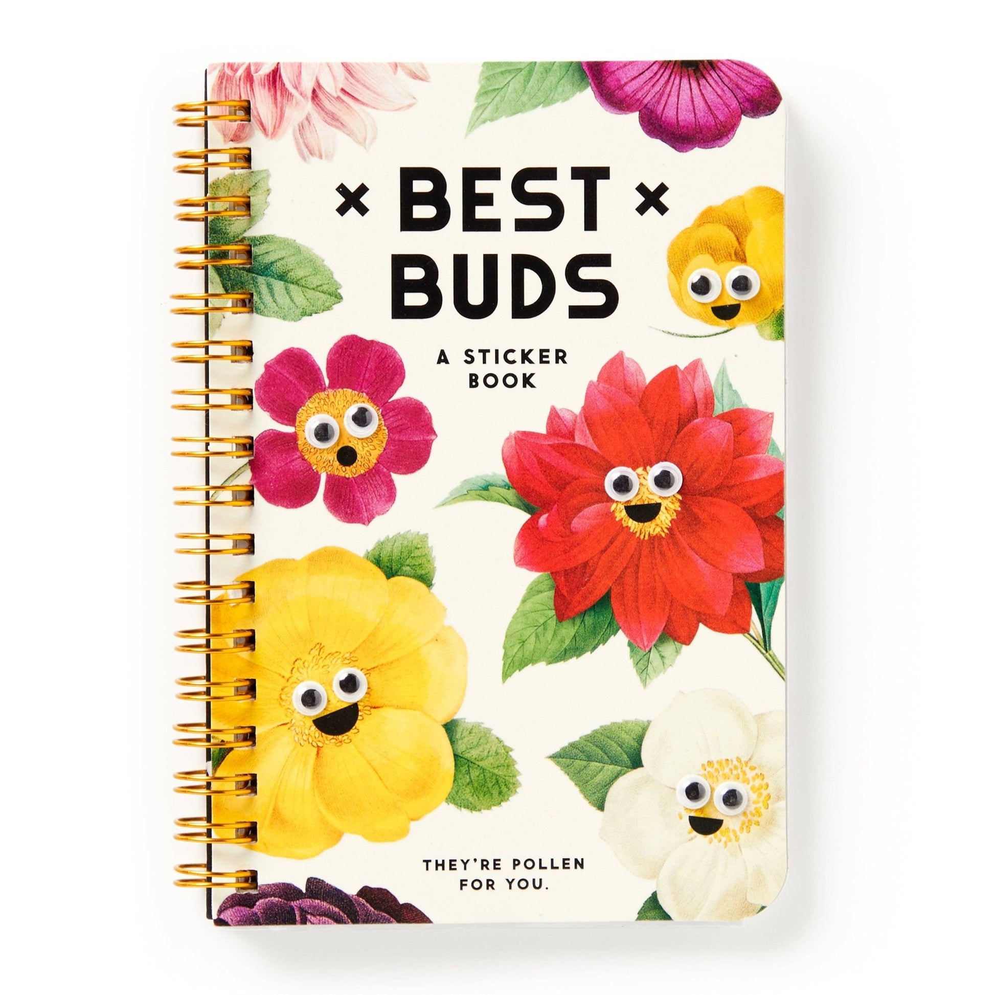 Best Buds Googly Sticker Book - Dear John